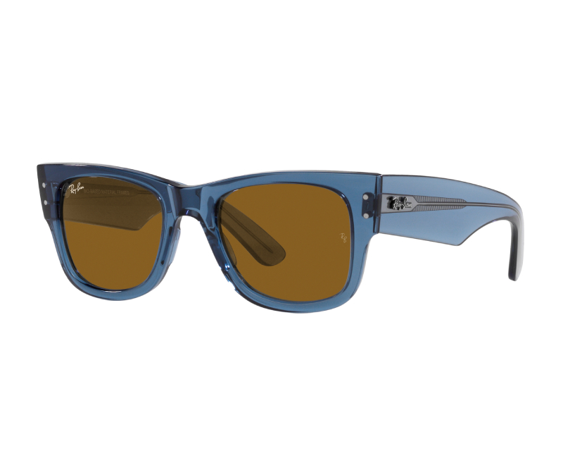 Rayban - Transparent Blue Brown 0RB0840S 668073 3N Sunglasses