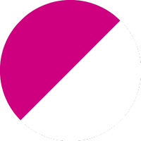 Dark Pink Transparent Dual
